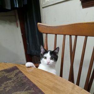 Meet your Posher, Sheena